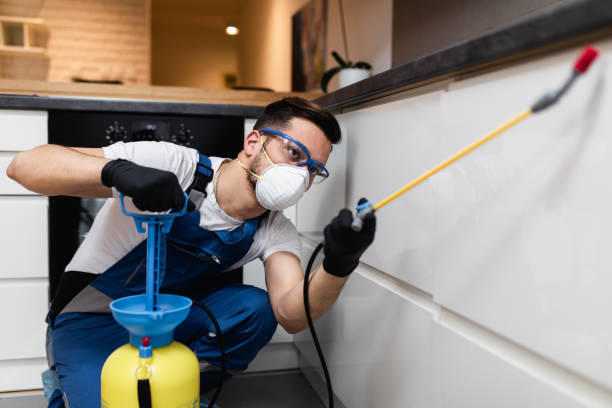 Reliable Cle Elum, WA Pest Control Solutions