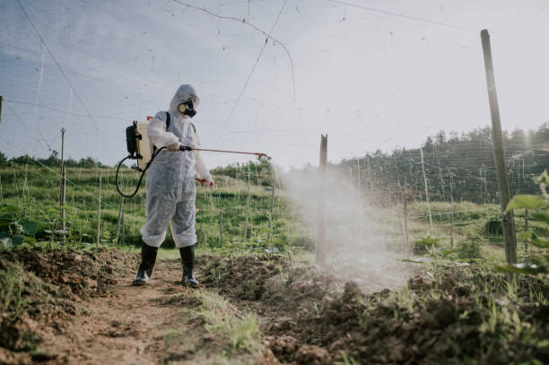 Reliable Cle Elum, WA Pest Control Solutions