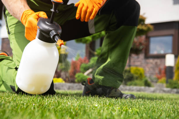 Best Termite Control Services  in Cle Elum, WA