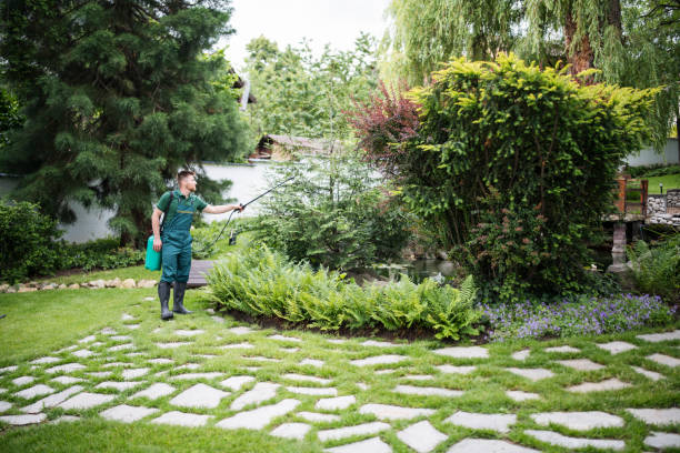 Best Bed Bug Extermination  in Cle Elum, WA
